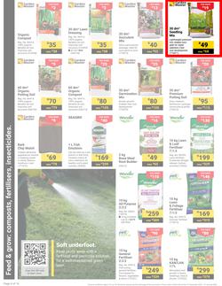 Builders : It's Get Ready For Summer Day (31 December - 27 January 2025), page 4