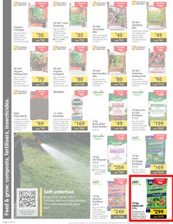 Builders : It's Get Ready For Summer Day (31 December - 27 January 2025), page 4