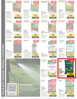 Builders : It's Get Ready For Summer Day (31 December - 27 January 2025), page 4