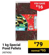 Special Pond Pellets-1Kg