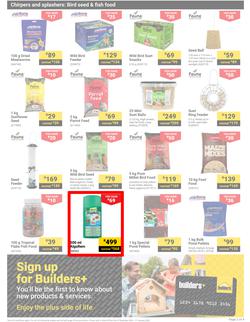 Builders : Pets (03 December - 27 January 2025), page 3