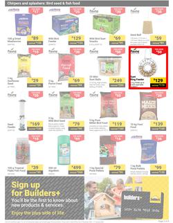 Builders : Pets (03 December - 27 January 2025), page 3