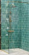 Shower Screen & Adjustable Arm 1.2m x 2m