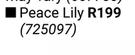 Peace Lily
