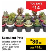 Succulent Pots-Each