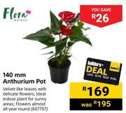 Flora 140mm Anthurium Pot