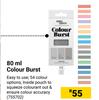 Fired Earth 80ml Colour Burst