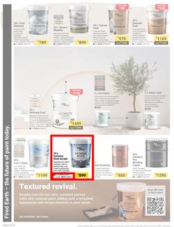 Builders : It's Why Wait To Paint Day (21 March - 05 May 2025), page 2