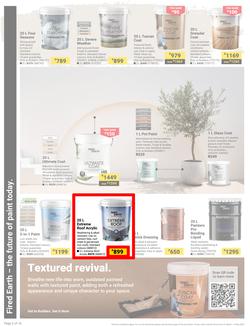 Builders : It's Why Wait To Paint Day (21 March - 05 May 2025), page 2