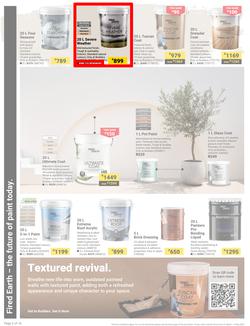 Builders : It's Why Wait To Paint Day (21 March - 05 May 2025), page 2