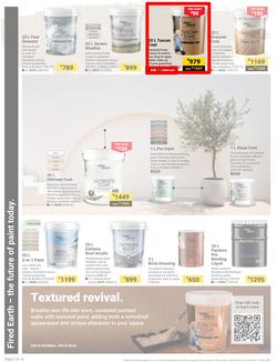 Builders : It's Why Wait To Paint Day (21 March - 05 May 2025), page 2