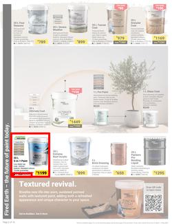 Builders : It's Why Wait To Paint Day (21 March - 05 May 2025), page 2