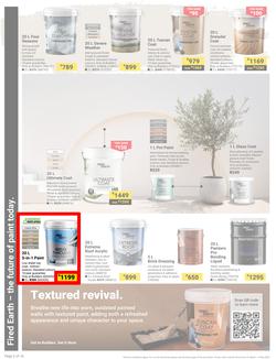 Builders : It's Why Wait To Paint Day (21 March - 05 May 2025), page 2