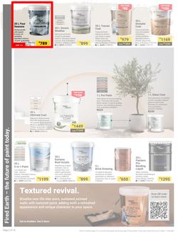 Builders : It's Why Wait To Paint Day (21 March - 05 May 2025), page 2