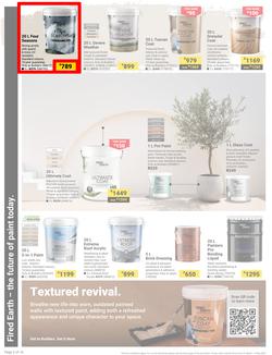 Builders : It's Why Wait To Paint Day (21 March - 05 May 2025), page 2