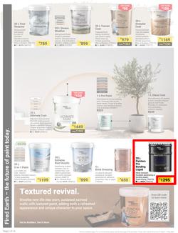 Builders : It's Why Wait To Paint Day (21 March - 05 May 2025), page 2