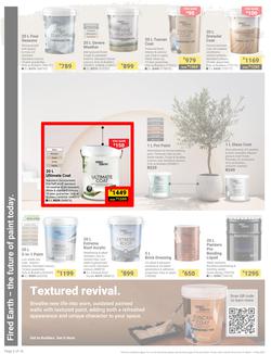 Builders : It's Why Wait To Paint Day (21 March - 05 May 2025), page 2