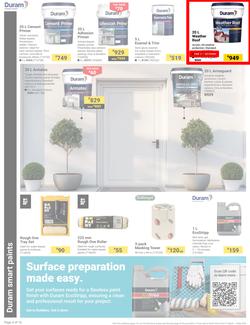 Builders : It's Why Wait To Paint Day (21 March - 05 May 2025), page 4