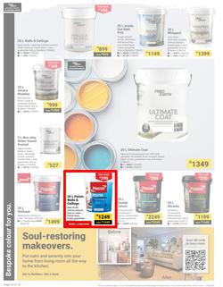 Builders : It's Why Wait To Paint Day (21 March - 05 May 2025), page 10