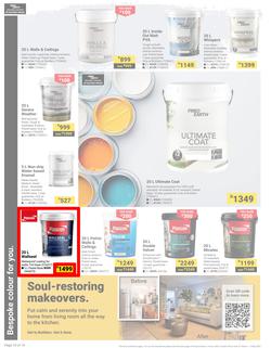 Builders : It's Why Wait To Paint Day (21 March - 05 May 2025), page 10