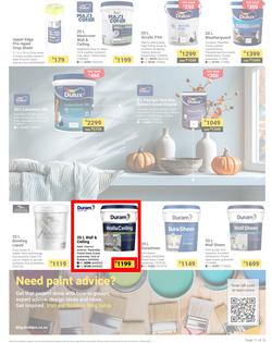 Builders : It's Why Wait To Paint Day (21 March - 05 May 2025), page 11