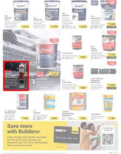 Builders : It's Why Wait To Paint Day (21 March - 05 May 2025), page 13
