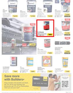 Builders : It's Why Wait To Paint Day (21 March - 05 May 2025), page 13