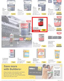 Builders : It's Why Wait To Paint Day (21 March - 05 May 2025), page 13