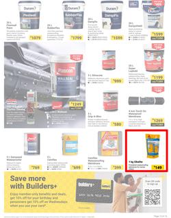 Builders : It's Why Wait To Paint Day (21 March - 05 May 2025), page 13