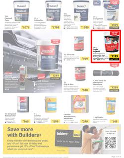 Builders : It's Why Wait To Paint Day (21 March - 05 May 2025), page 13