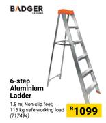 Badger 6-step Aluminium Ladder