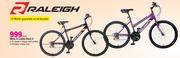 Raleigh Mens Or Ladies Rock 5-Each