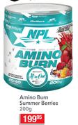 NPL Amino Burn Summer Berries-200g