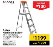 Badger 6 Step Aluminium Ladder