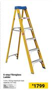 6 Step Fibreglass Ladder