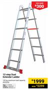 12 Step Dual Extender Ladder