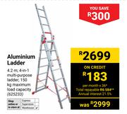 Aluminium Ladder