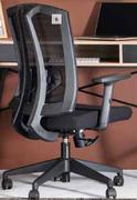 Sigma Mesh High Back Chair