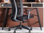 Colorado Computer Desk