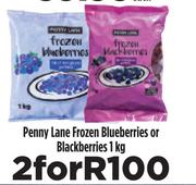 Penny Lane Frozen Blueberries Or Blackberries-For 2 x 1Kg