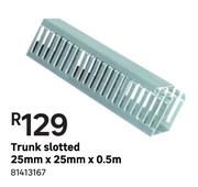 Trunk Slotted 25 mm x 25 mm x 0.5 m