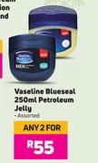 Vaseline Blueseal Petroleum Jelly Assorted-For Any 2 x 250ml