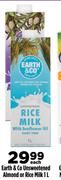 Earth & Co Unsweetened Almond Or Rice Milk-1Ltr Each