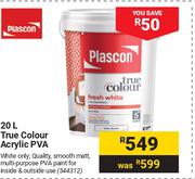 Plascon True Colour Acrylic PVA 544312-20Ltr