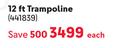 Bounceking 12Ft Trampoline 441839-Each