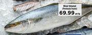 Whole Yellowtail (Previously Frozen)-Per Kg