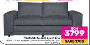 Tranquility Sleeper Couch (Grey)