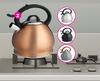 Tissolli 3L Stove Top Whistling Kettle