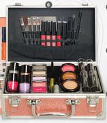 Makeup Case (30 Piece)-Per Set