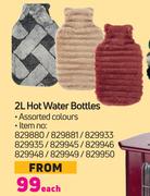 2L Hot Water Bottles-Each